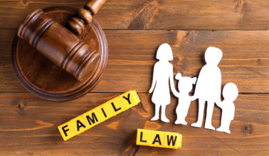 A family model and a dice with a word family law written on it